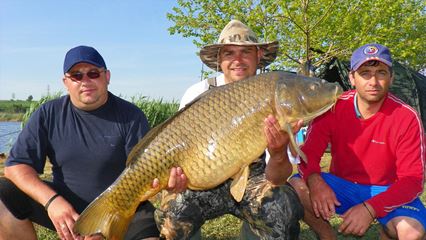Crapmania (2) - 2011